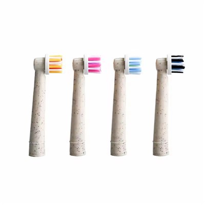 ראשי מברשת להחלפה ל"הפה ב